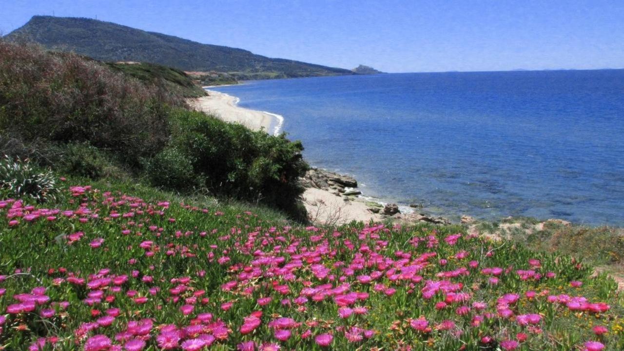 Alba Stupendo Appartamento In Villa Fronte Mare - Golfo Dell'Asinara - Internet Free Valledoria (Sardinia) Exterior foto